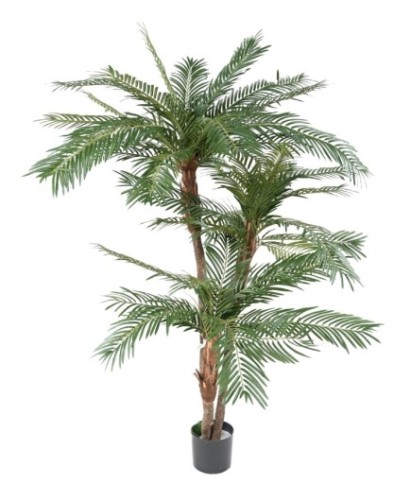 3-TRUNK PALM TREE NEW TF