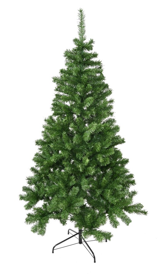 CANADIAN FIR