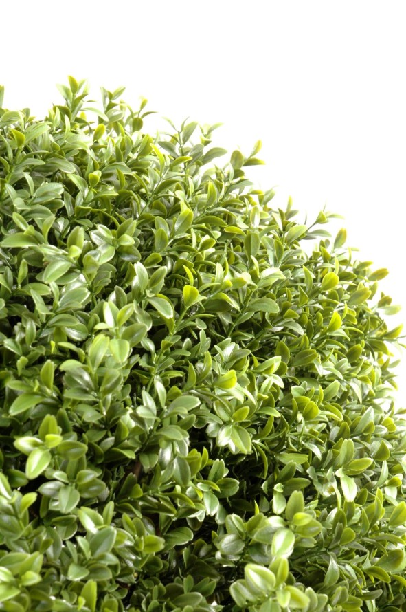 NEW UV RESISTANT BOXWOOD BALL