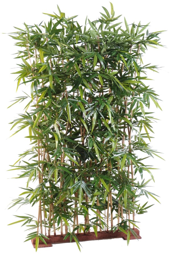 BAMBOO NEW HEDGE BASE 95