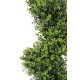 BOXWOOD SPIRAL NEW