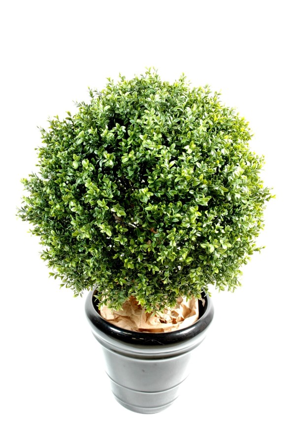 NEW UV RESISTANT BOXWOOD BALL