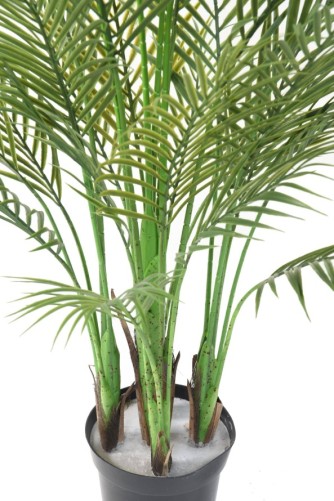 ARECA MULTI TREE