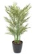 ARECA MULTI TREE