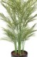 ARECA MULTI TREE