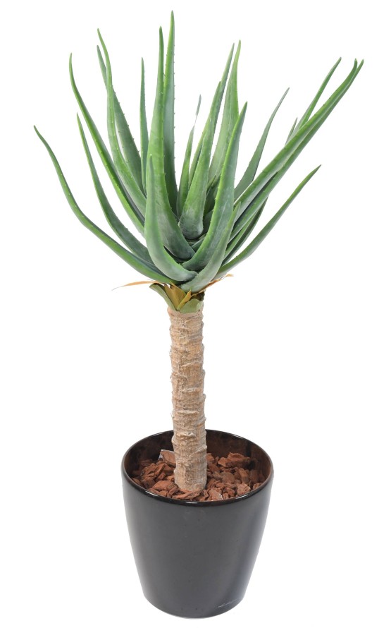 ALOEVERA 125