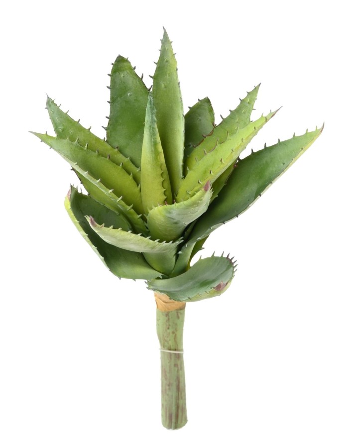 ALOEVERA 12