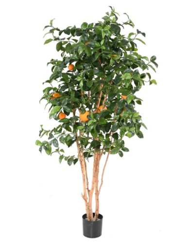 ORANGE TREE NEW