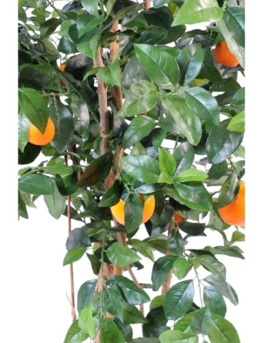 ORANGE TREE NEW