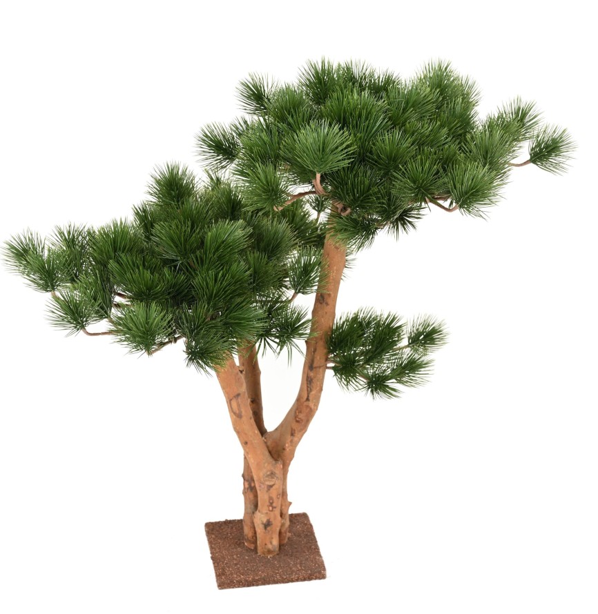 PINE 3T UV