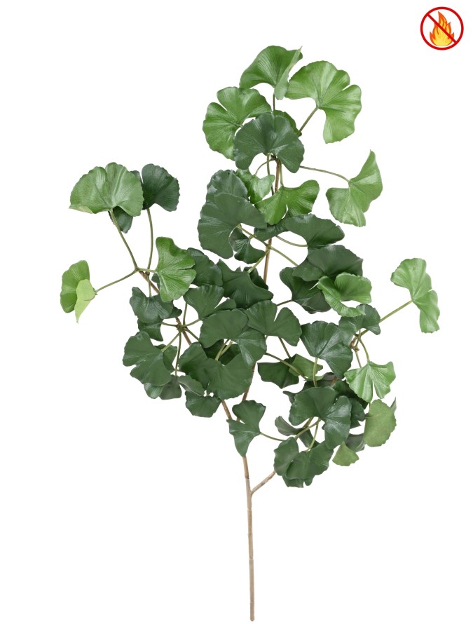 GINKGOBILOBA SWEET SPRAY FR - Fire Resistant