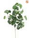 GINKGOBILOBA SWEET SPRAY FR - Fire Resistant