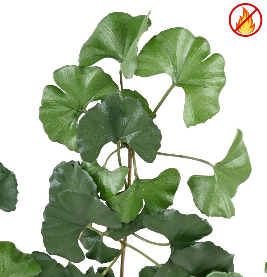 GINKGOBILOBA SWEET SPRAY FR - Fire Resistant