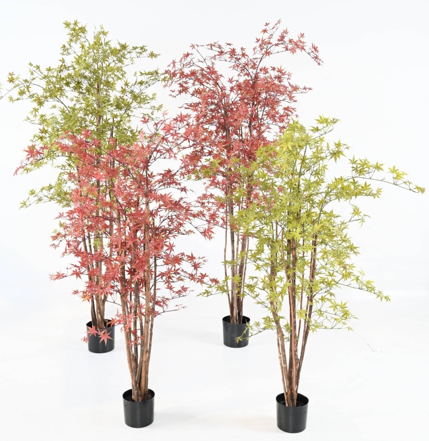 ARALIA PE 200/210 UV