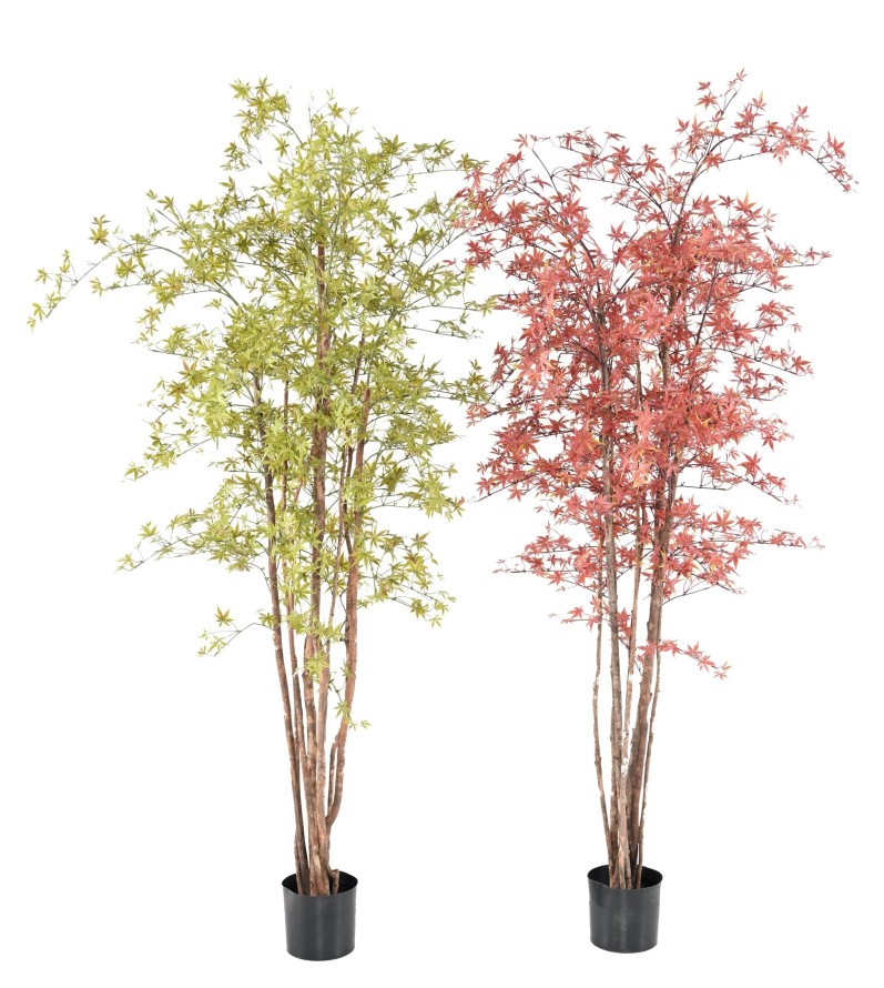 ARALIA PE 200/210 UV