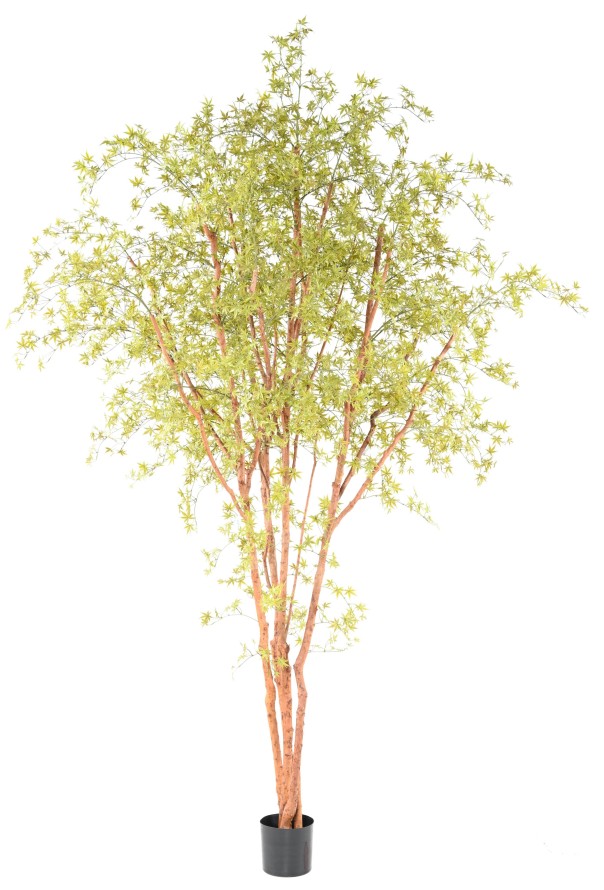 ARALIA PE TREE 330 UV