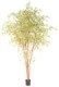 ARALIA PE TREE 330 UV