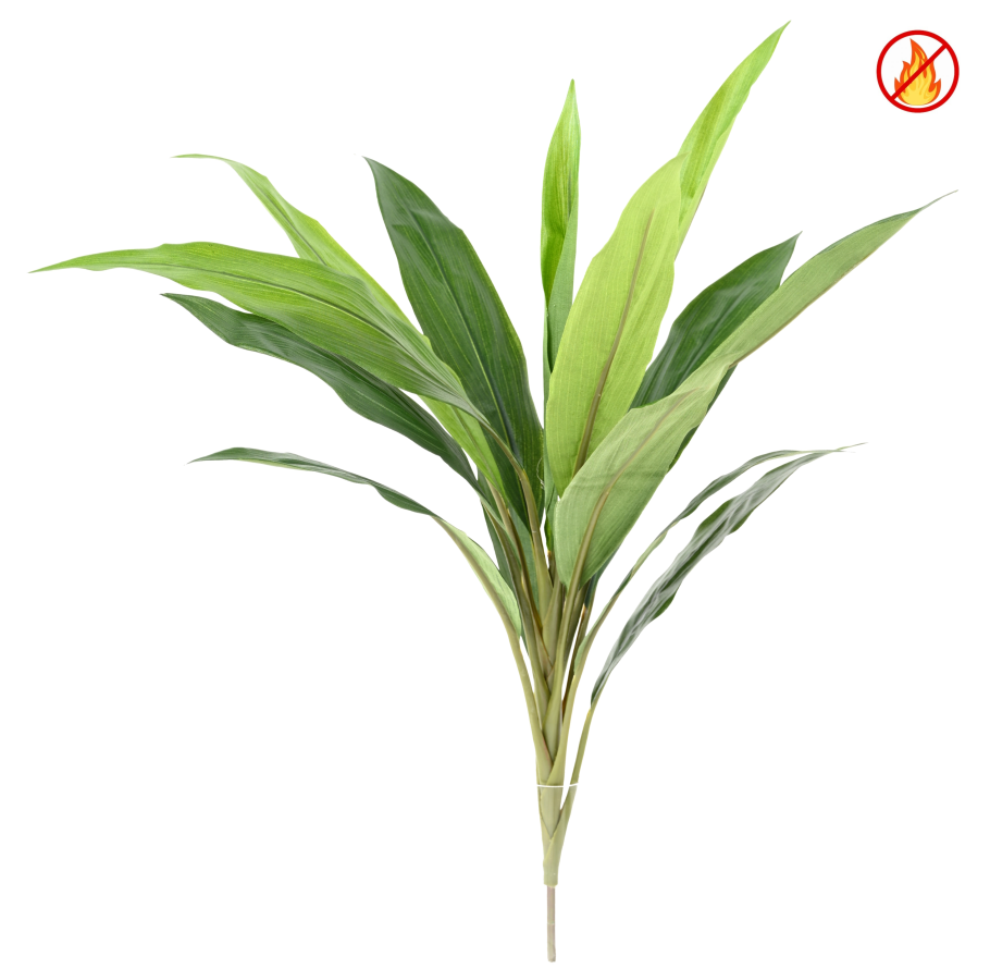 DRACAENA CORDYLINE FR - Fire Resistant