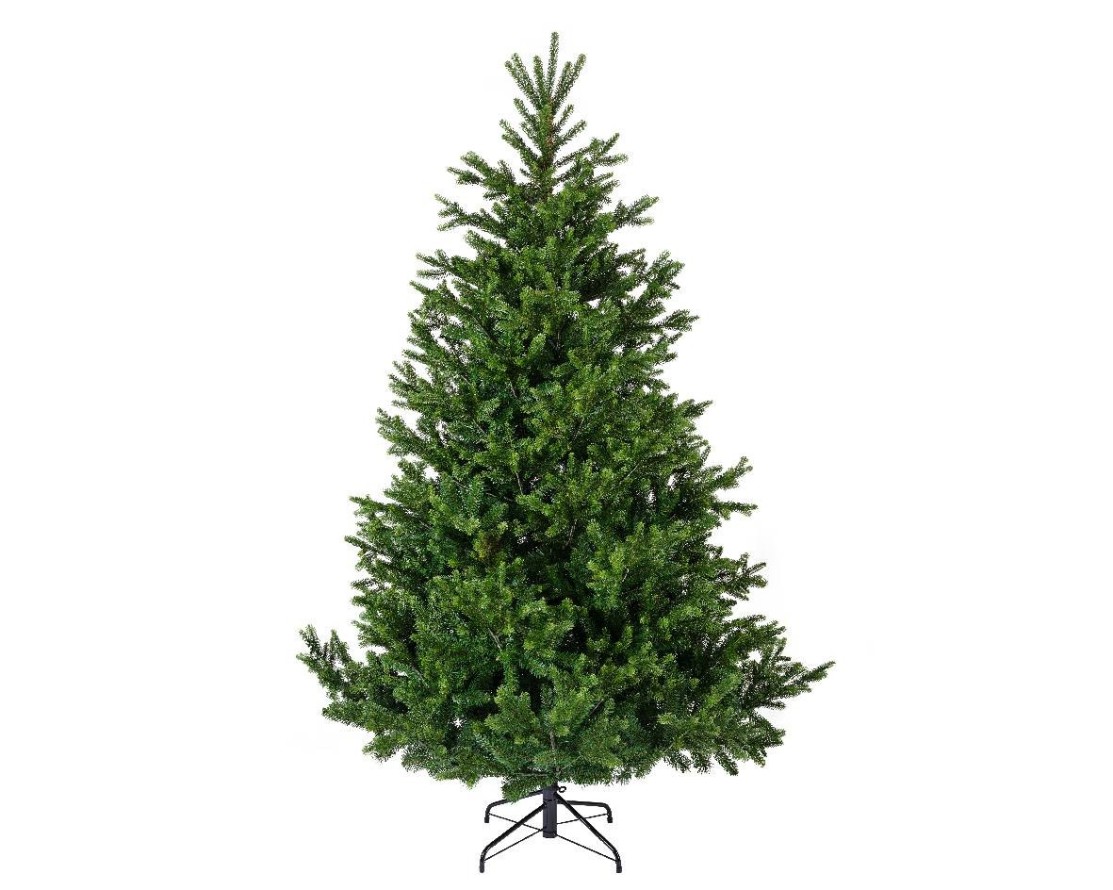 NORDMANN FIR