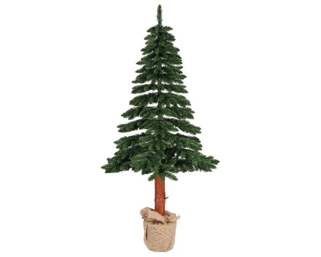 TORA FIR TREE