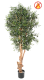 KNOTTY TRUNK OLIVE TREE 170 FR - Fire Resistant