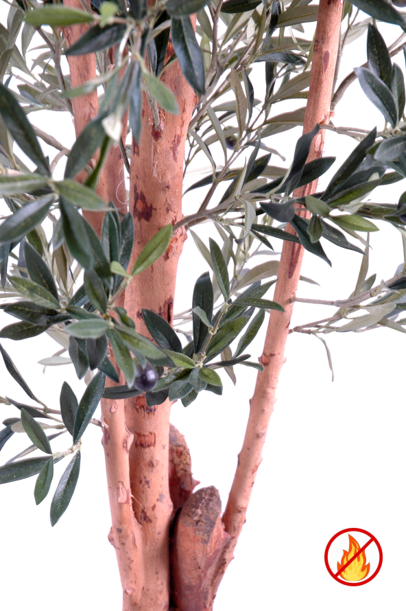 KNOTTY TRUNK OLIVE TREE 170 FR - Fire Resistant