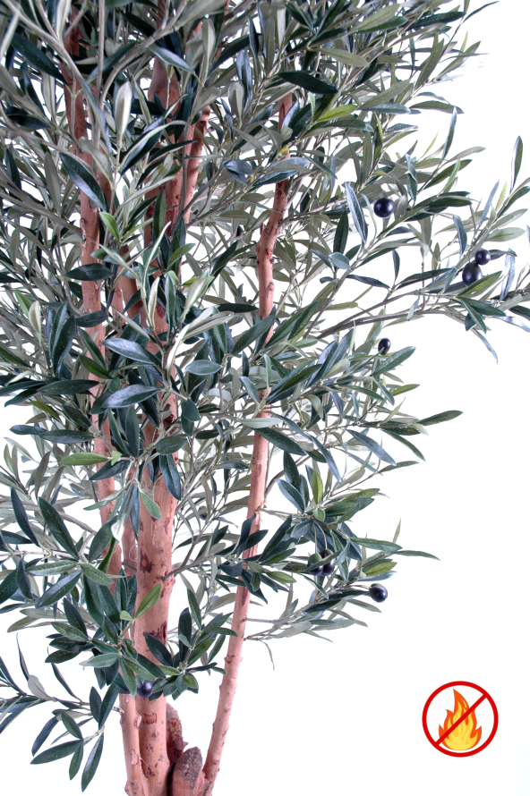 KNOTTY TRUNK OLIVE TREE 170 FR - Fire Resistant