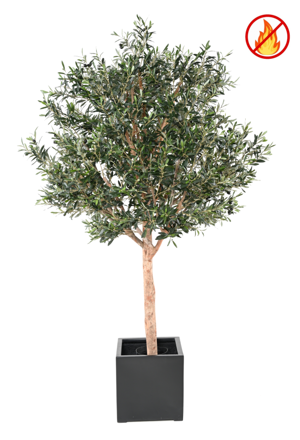 210 CM WIDE HEAD - Fire Resistant ARTIFICIAL OLIVE TREE