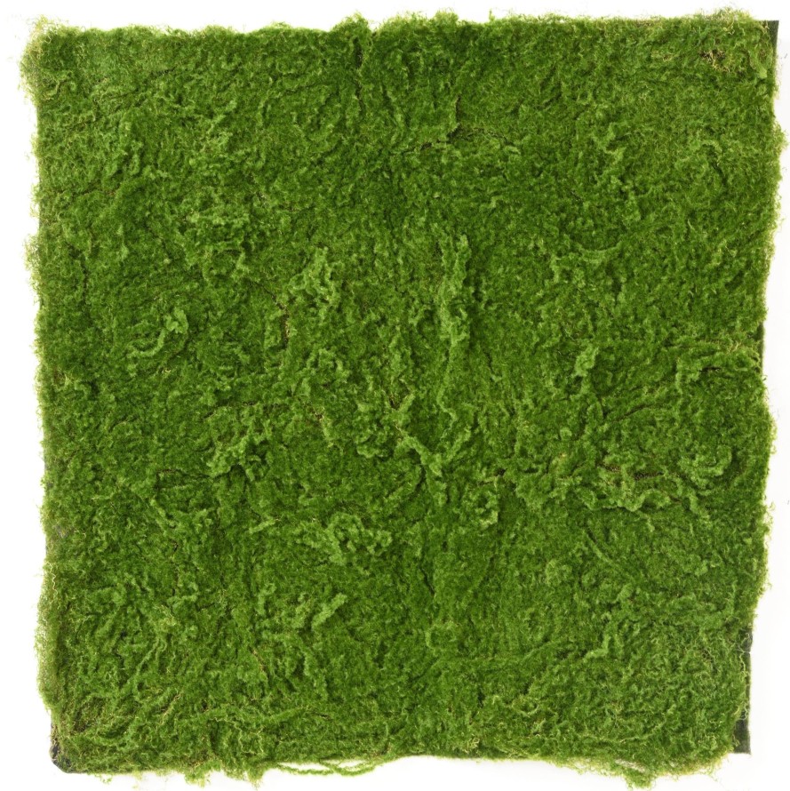 RF 100 100 MOSS PLATE