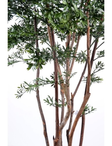 AMERICAN WILLOW PLAST