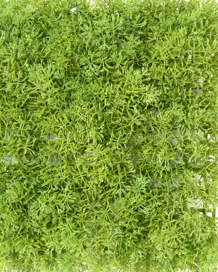 GREEN WALL PE 24 24