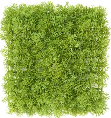 GREEN WALL PE 24 24