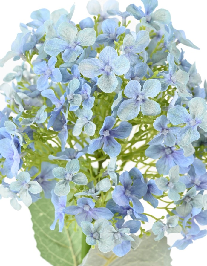 HYDRANGEA 55