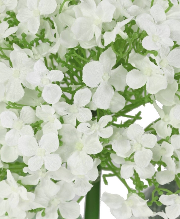 HYDRANGEA 55