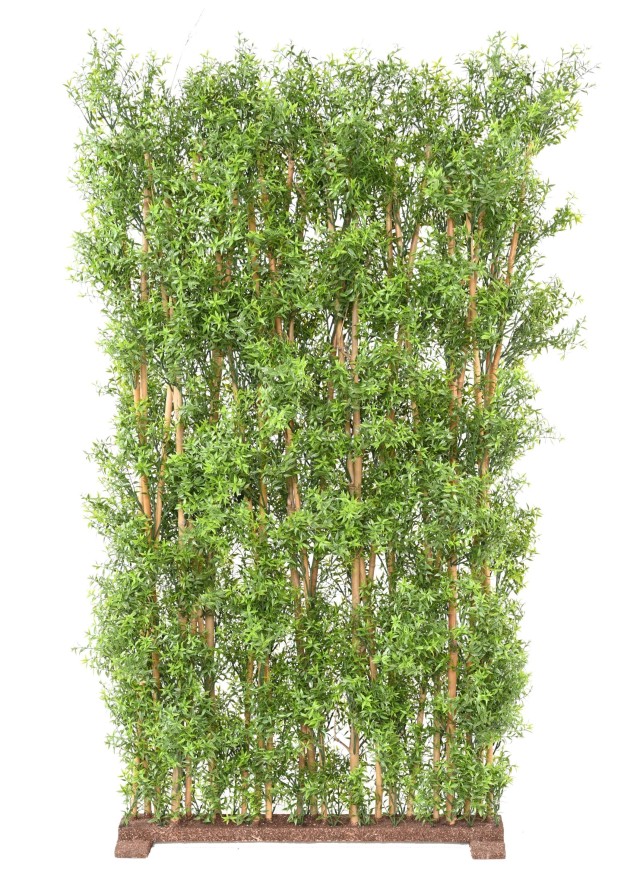 EUCALYPTUS UV HEDGE