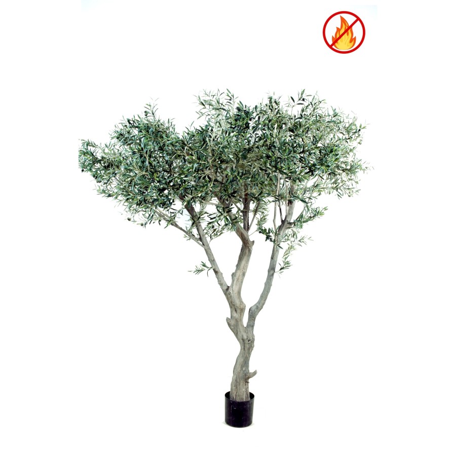 OLIVE TREE GIANT 240 FR - Fire Resistant