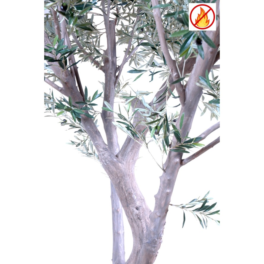 OLIVE TREE GIANT 240 FR - Fire Resistant