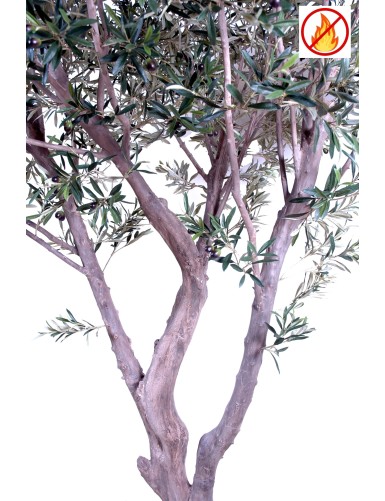 OLIVE TREE GIANT 240 FR - Fire Resistant