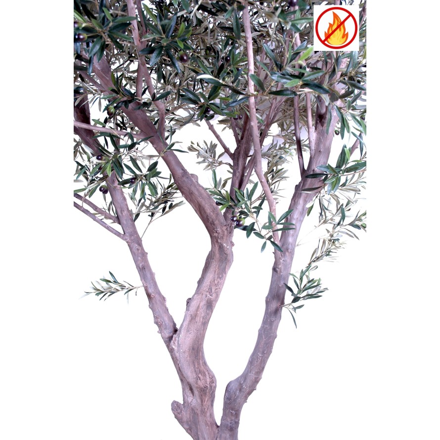 GIANT OLIVE TREE 240 FR - Fire Resistant