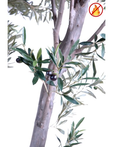 OLIVE TREE GIANT 240 FR - Fire Resistant