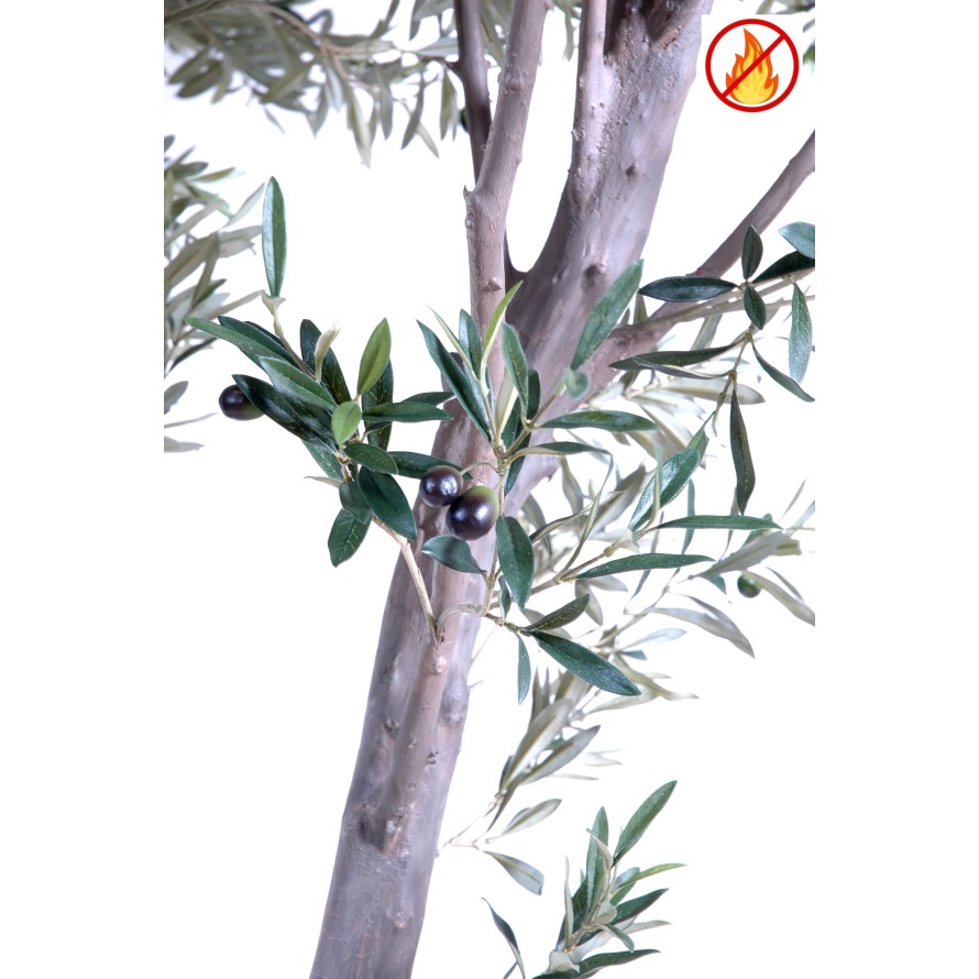 GIANT OLIVE TREE 240 FR - Fire Resistant