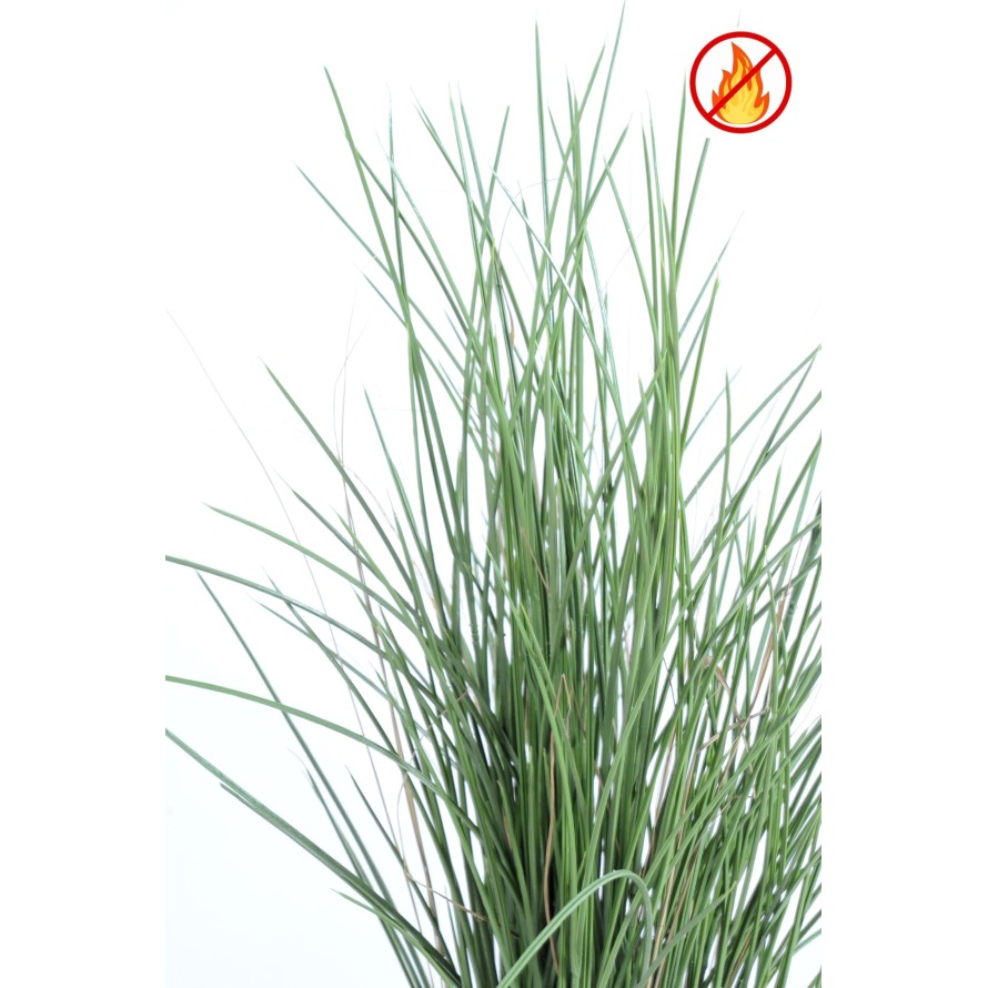 HERBE HONEY GRASS 80 FR - Fire Resistant