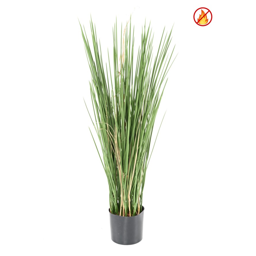 HONEY GRASS 80 FR - Fire Resistant