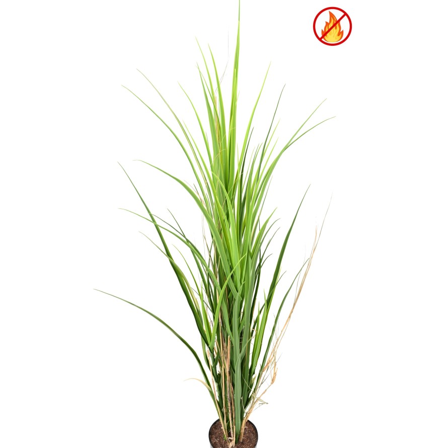 HERBE LARGE 115 FR - Fire Resistant