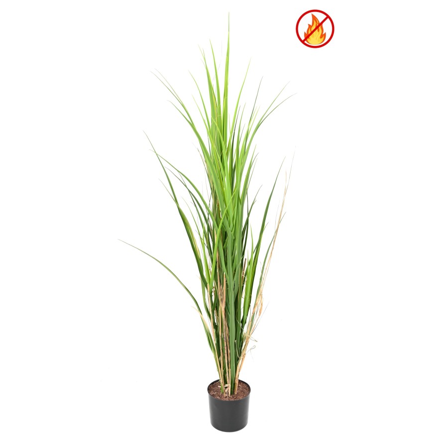 LARGE GRASS 115 FR - Fire Resistant