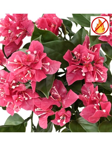 Bougainvillea large fall FR - Fire Resistant