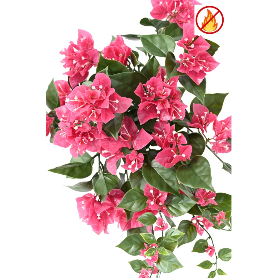 Bougainvillea large fall FR - Fire Resistant