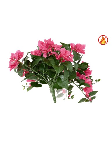 Bougainvillea large fall FR - Fire Resistant