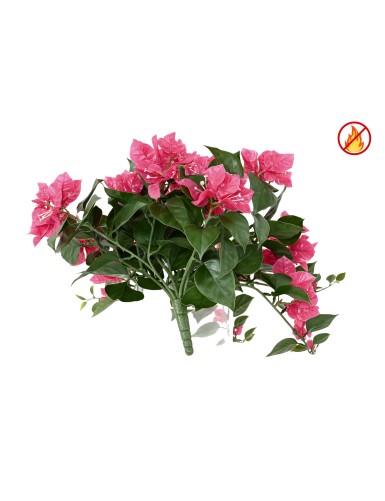 BOUGAINVILLEE LARGE CHUTE FR - Fire Resistant
