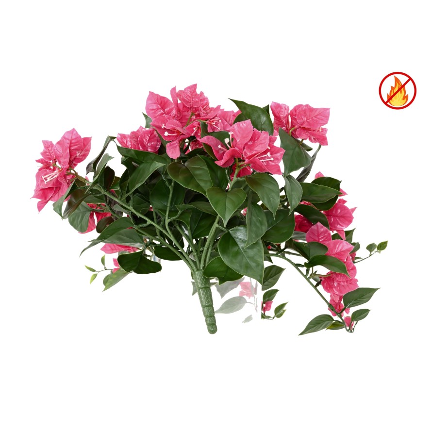 Bougainvillea large fall FR - Fire Resistant